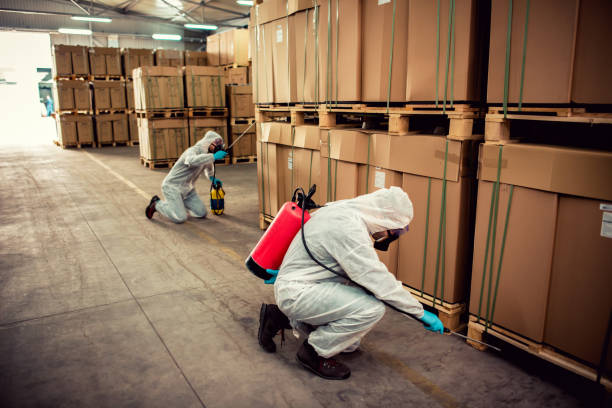Best Exterminator Services  in Helena, MT
