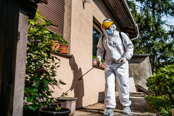 Best Emergency Pest Control  in Helena, MT